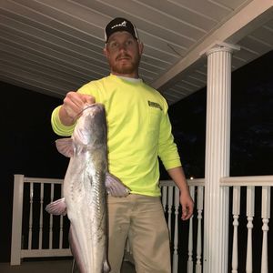 Meet your Posher, Hunter